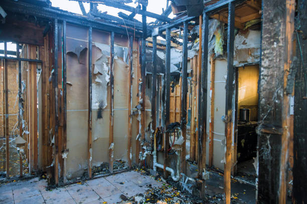 Professional Fire Damage Removal technician working in West Whittier-Los Nietos, CA
